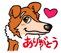 Collie Sable-kun sticker #3446375