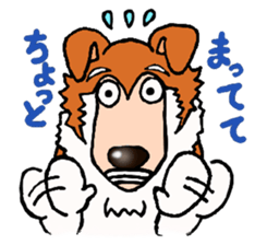 Collie Sable-kun sticker #3446376