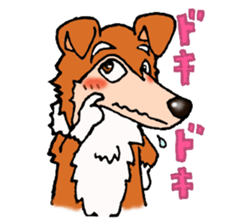Collie Sable-kun sticker #3446378