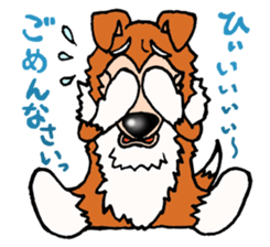 Collie Sable-kun sticker #3446379