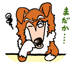 Collie Sable-kun sticker #3446380