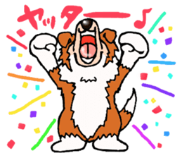 Collie Sable-kun sticker #3446381