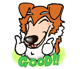 Collie Sable-kun sticker #3446383