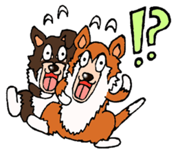Collie Sable-kun sticker #3446387