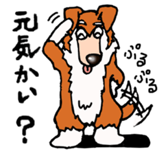 Collie Sable-kun sticker #3446392
