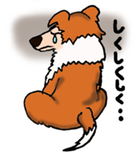 Collie Sable-kun sticker #3446393