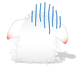 Carnap sticker #3446746