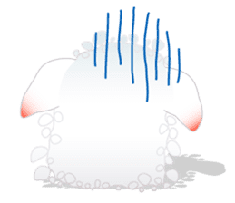 Carnap sticker #3446746