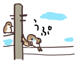 Sparrow Chu-bi surreal dail Sticker sticker #3447124