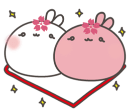 Hello! Sakura the rabbit sticker #3450058