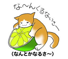 Japanese hougen sticker #3450558