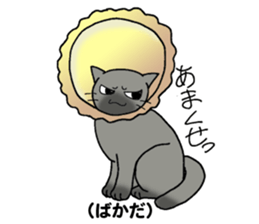 Japanese hougen sticker #3450574