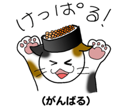 Japanese hougen sticker #3450580