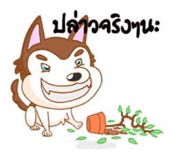 Pop and Loo Huskyfamily sticker #3454933