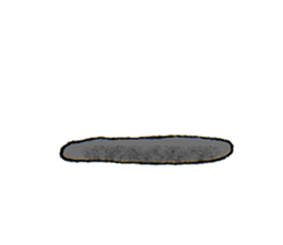 Bengalese finch sticker #3455952