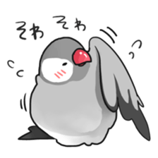 Java sparrow Stickers 2 sticker #3460436