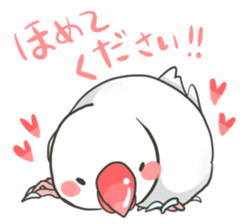 Java sparrow Stickers 2 sticker #3460445