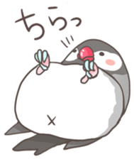 Java sparrow Stickers 2 sticker #3460457
