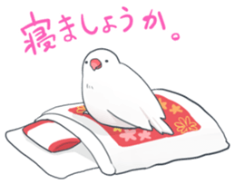 Java sparrow Stickers 2 sticker #3460458