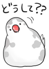 Java sparrow Stickers 2 sticker #3460462