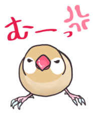 Java sparrow Stickers 2 sticker #3460466