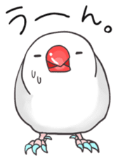 Java sparrow Stickers 2 sticker #3460472