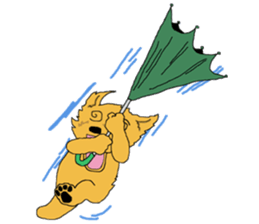 Norfolk Terrier named "Non-chan" sticker #3461836