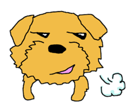 Norfolk Terrier named "Non-chan" sticker #3461845