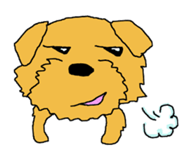 Norfolk Terrier named "Non-chan" sticker #3461845