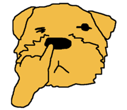 Norfolk Terrier named "Non-chan" sticker #3461852