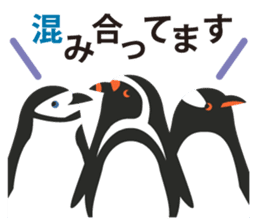 KOTORITACHI sticker #3462899