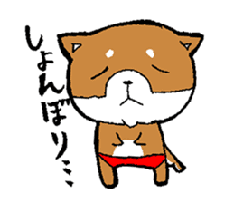 Of red pants Shiba Inu Sticker sticker #3466546
