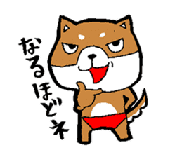 Of red pants Shiba Inu Sticker sticker #3466550