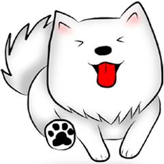 Japanese Spitz