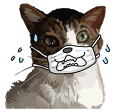 Megane&masukuNeko sticker #3468476