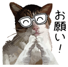 Megane&masukuNeko sticker #3468477