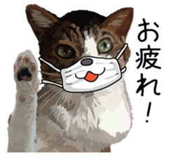 Megane&masukuNeko sticker #3468478