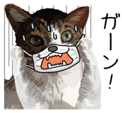 Megane&masukuNeko sticker #3468479