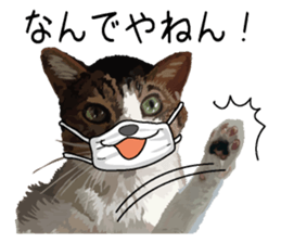 Megane&masukuNeko sticker #3468480