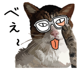 Megane&masukuNeko sticker #3468481