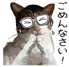 Megane&masukuNeko sticker #3468482