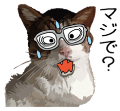 Megane&masukuNeko sticker #3468483