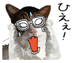 Megane&masukuNeko sticker #3468484