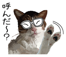 Megane&masukuNeko sticker #3468486