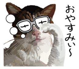 Megane&masukuNeko sticker #3468487