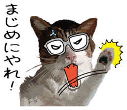 Megane&masukuNeko sticker #3468488