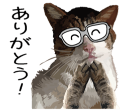 Megane&masukuNeko sticker #3468489