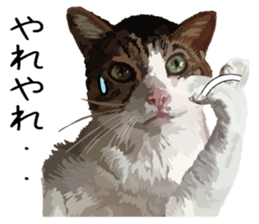 Megane&masukuNeko sticker #3468490