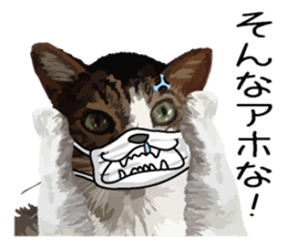 Megane&masukuNeko sticker #3468492