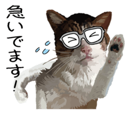 Megane&masukuNeko sticker #3468493